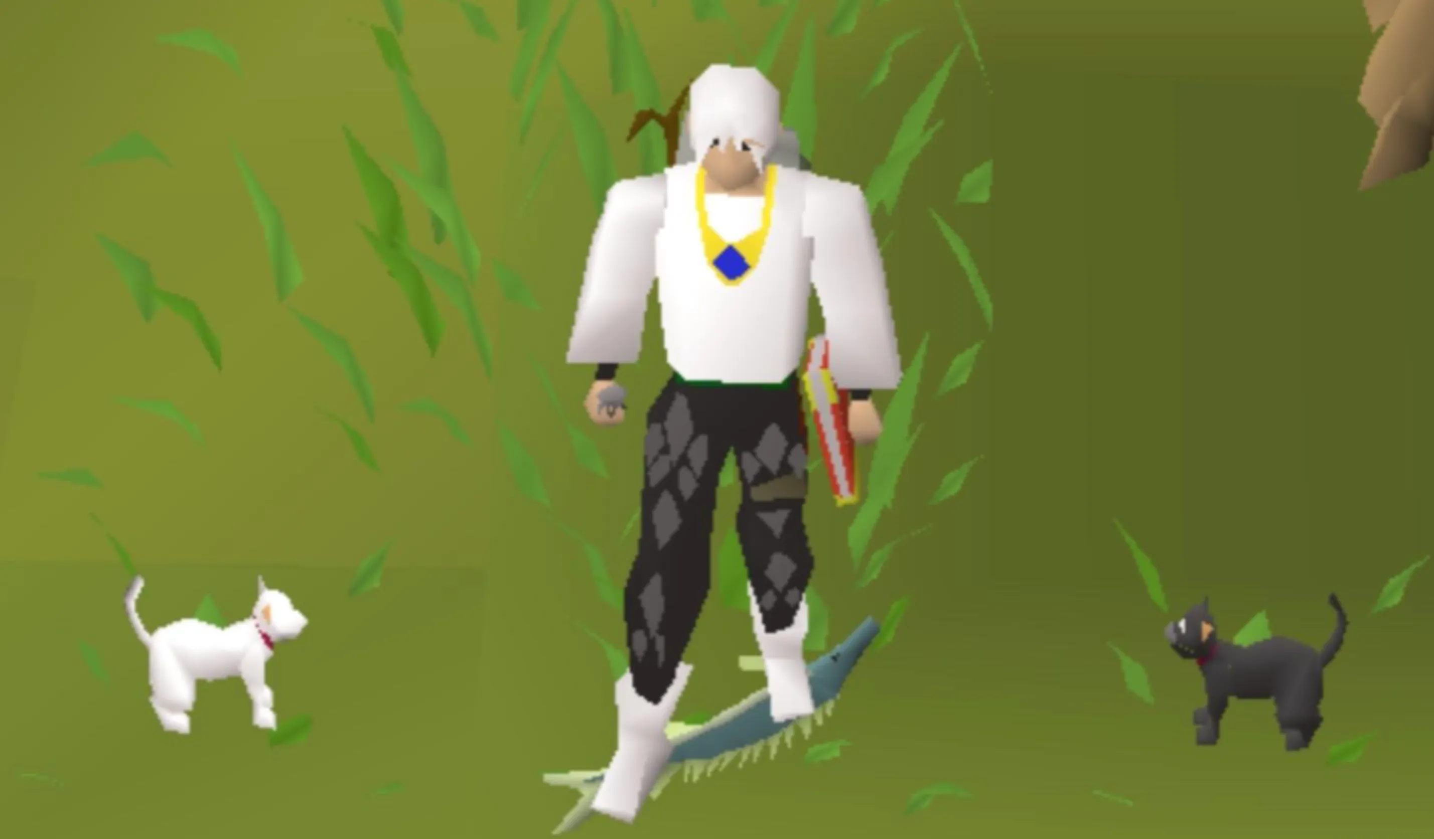 Pet Cat osrs